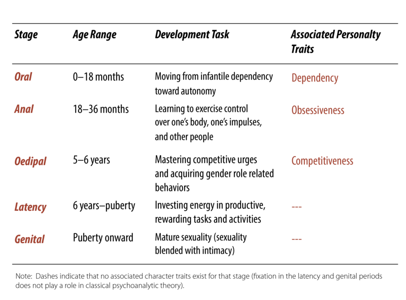The psycho-sexual stage model. Between birth and 18 months is the oral stage, during which an infant moves from dependency toward increasing autonomy. From 18-36 months is the anal stage, during which the child acquires social and self control. From ages 5-6 is the oedipal stage, during which the child develops gender identity. From 6 years to puberty is the latency stage, during which the child invests in rewarding tasks and activities. From puberty onward is the genital stage with mature relationships including sex and intimacy. 